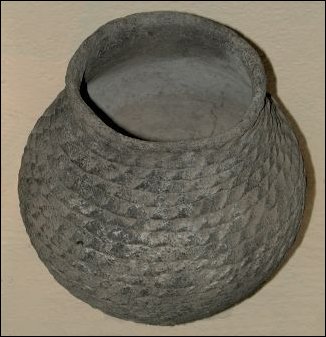 cooking and storage pot
