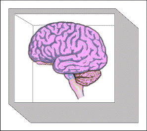 brain in a box