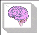 thumbnail of graphic: brain in a box