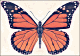thumbnail of monarch butterfly
