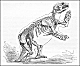 thumbnail of a drawing of a ground sloth