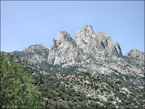 Organ Mountains