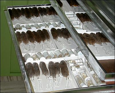 A natural history collection