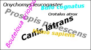 scientific names abstract