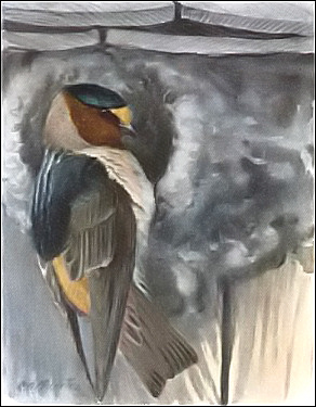 Fuertes painting of cliff swallow