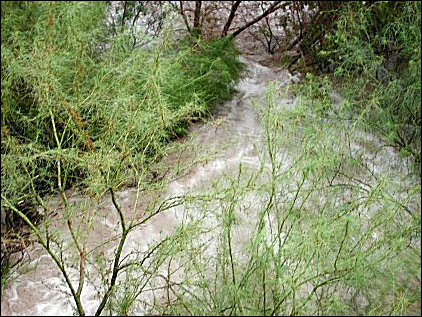 Photo of flashflooded arroyo