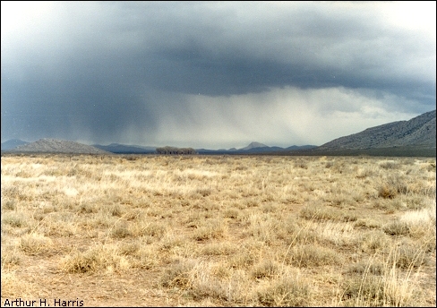 rain moving through Hachita Gap