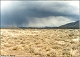 thumbnail of winter rain in Hidalgo County, NM