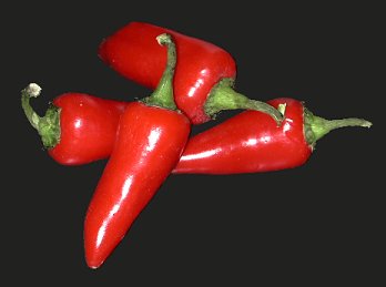 jalapeño peppers