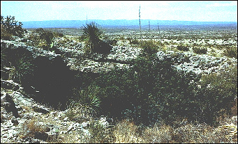 high Chihuahuan Desert west of Carlsbad, NM