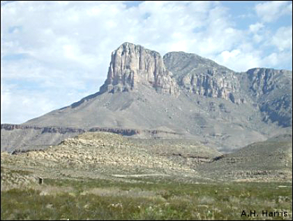 El Capitan and Creosotebush shrubland