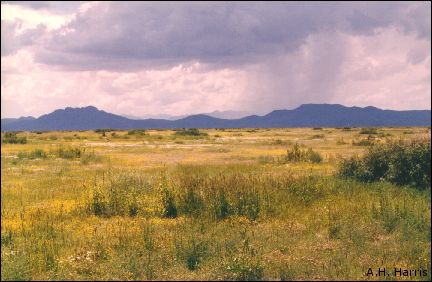 rain, Playas Valley