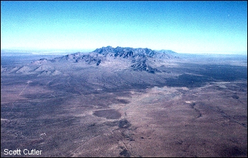 Aerial view of Organ Mts.