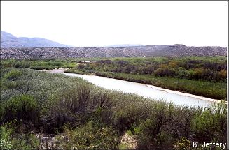 Rio Grande