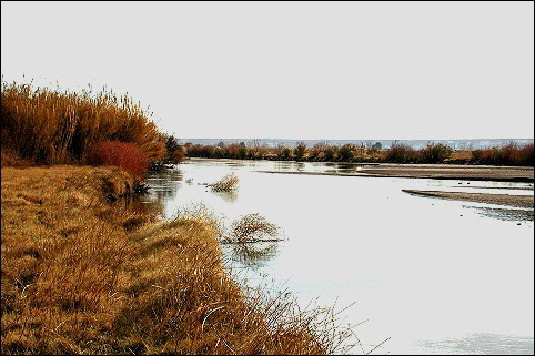 Rio Grande