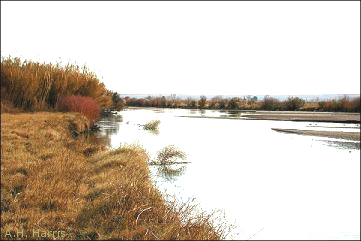 view of Rio Grande