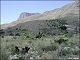 thumbnail of slope effects at Guadalupe Mountains National Park