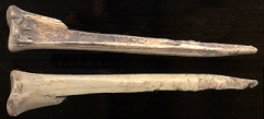 two view of an awl