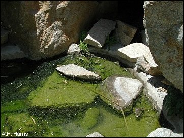 photo of pool of water