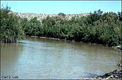 photo of Rio Grande in Hudspeth Co., Texas