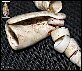 thumbnail of olivella beads