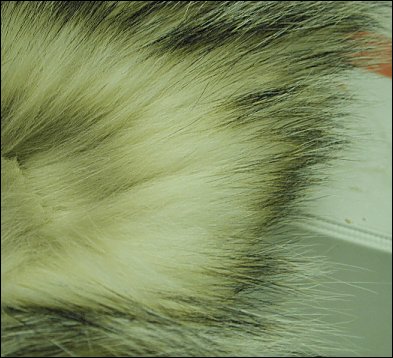 Badger fur