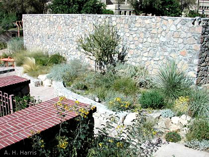 Chihuahuan Desert Gardens