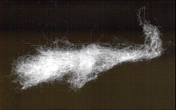 cotton fibers