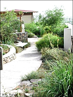 Chihuahuan Desert Gardens