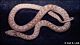 thumbnail of night snake