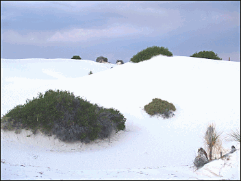 White Sands