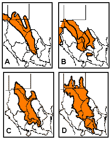 four desert maps