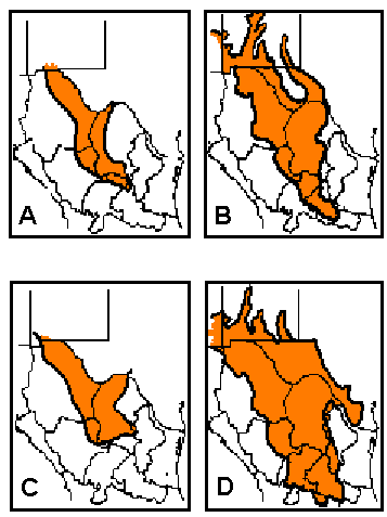 four desert maps