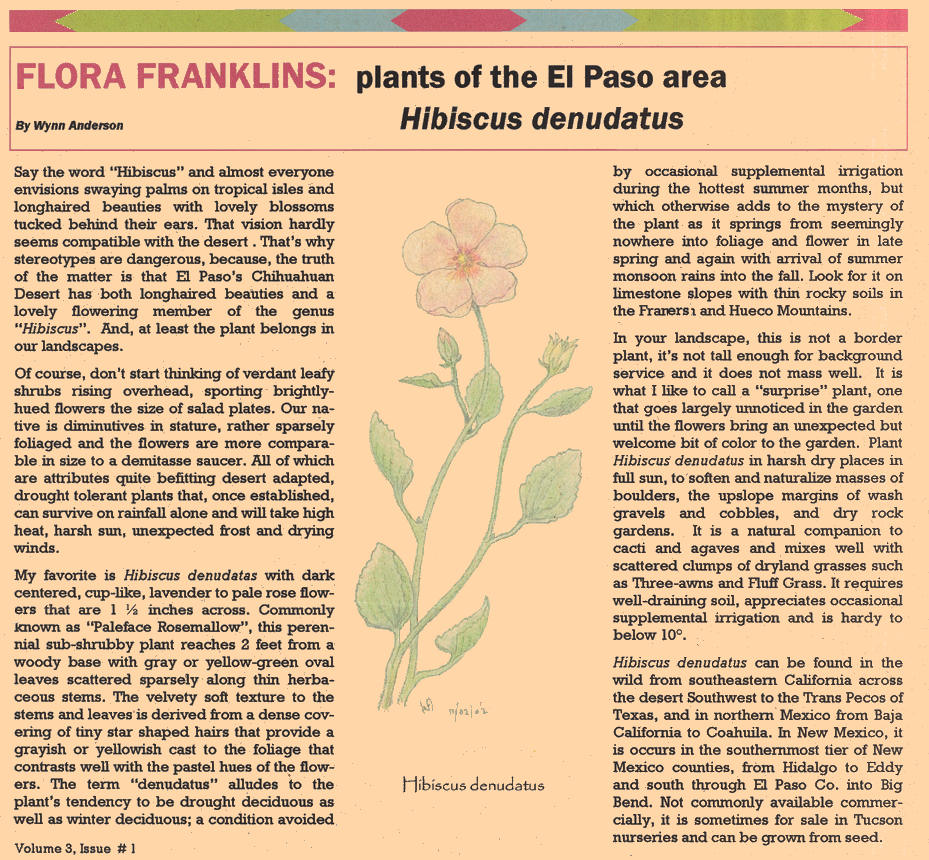 Page by Wynn Anderson on the plant genus Proboscidea