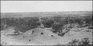 Bannertail mound