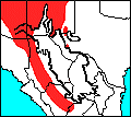 distribution map of Mountain Short-horned Lizard