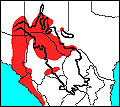 distribution map of Salvadora deserticola