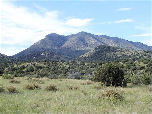 The Animas Mountains