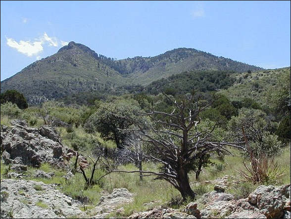 Indian and Animas peaks, Animas Mountains