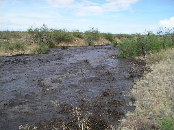 Indian Creek, first flood after a burn