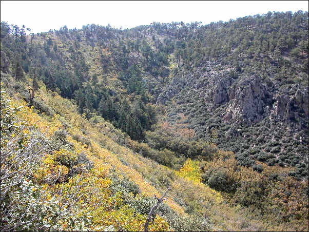 view from the west-facing slope of West Fork Canyon toward Animas Peak