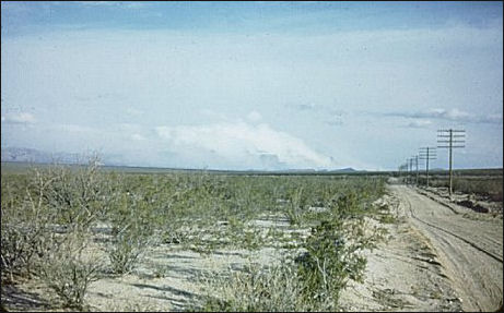 creosotebush flats, Tularosa Basin