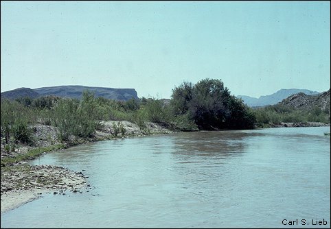 Rio Grande at the mouth of the Green River.