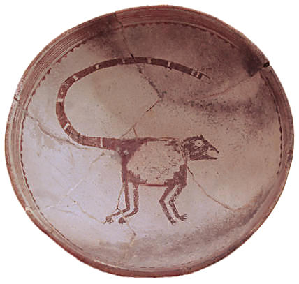 Mimbres animal bowl, possibly coati