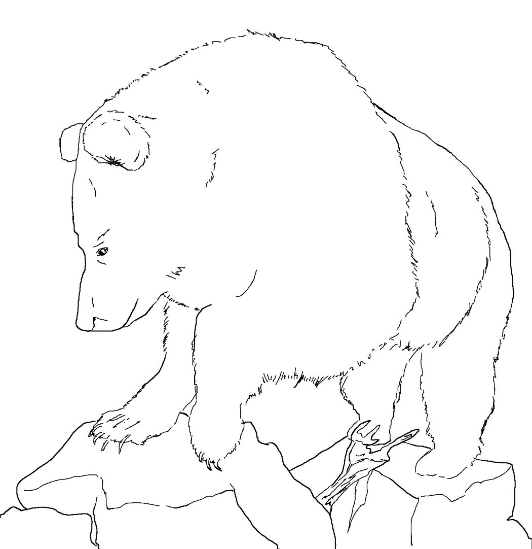 coloring page of the Grizzly Bear