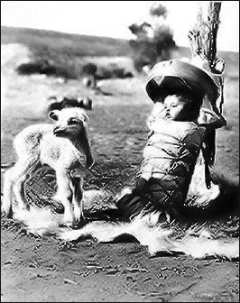 Navajo baby in cradleboard with lamb nearby