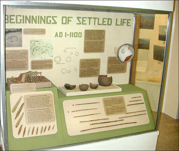 Settled Life display case