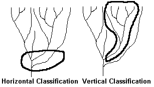 Diagram to contrast horizontal and vertical classifications